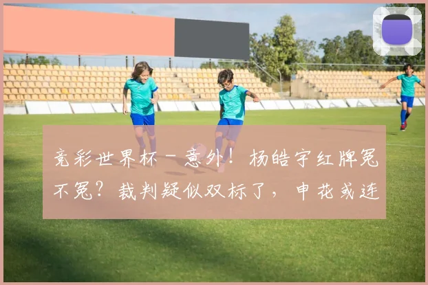 竞彩世界杯 - 意外！杨皓宇红牌冤不冤？裁判疑似双标了，申花或连夜找足协申诉