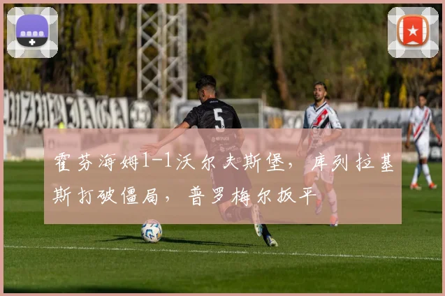 霍芬海姆1-1沃尔夫斯堡，库列拉基斯打破僵局，普罗梅尔扳平